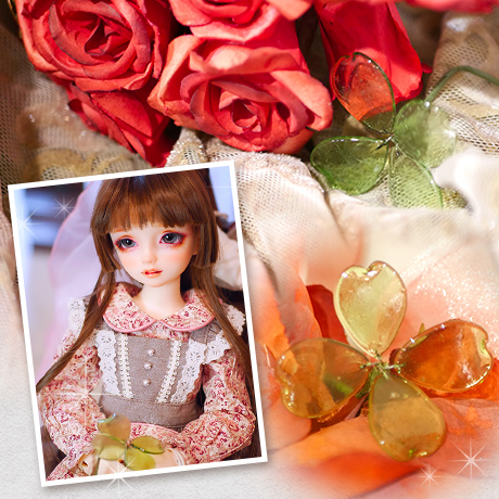 幸せの四つ葉のクローバーを探そう！