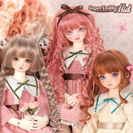 SDMコーディネートモデルお披露目