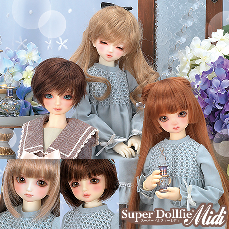 SDMコーディネートモデルお披露目