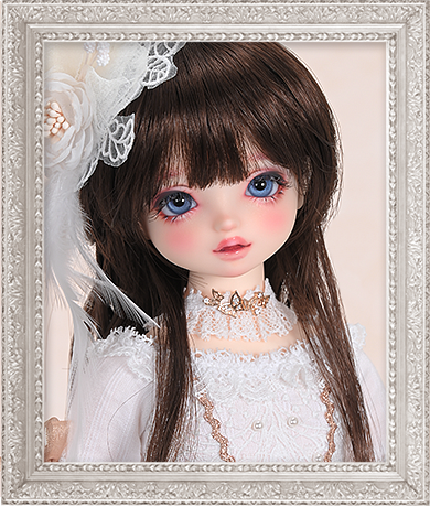 SDワンオフモデル