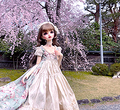 天使の里 春のフェア 2026