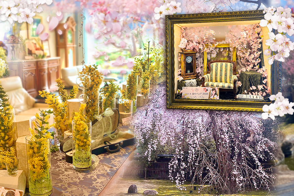 天使の里 春のフェア 2026 | ボークス公式 ドルフィー総合サイト