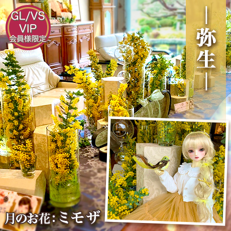 四季の華の会 -弥生-