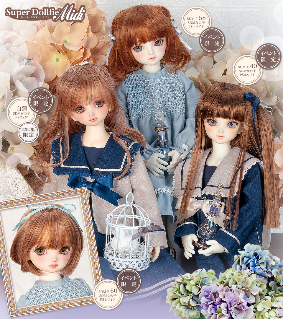 SDMコーディネートモデルお披露目