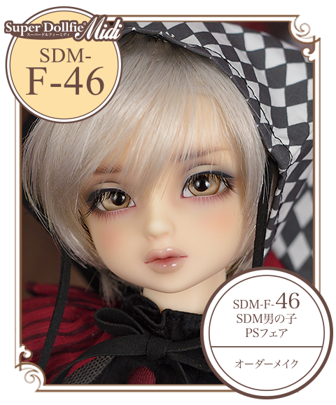 税込】 スーパードルフィー SDM 男の子55番ヘッド フルチョイスモデル