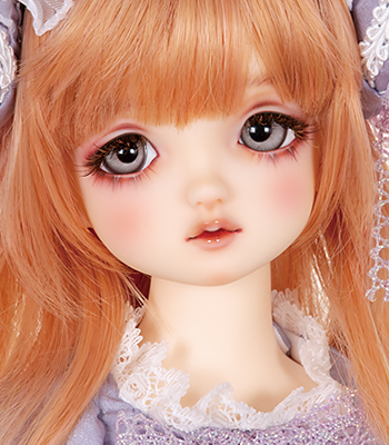 SDM-F-53
