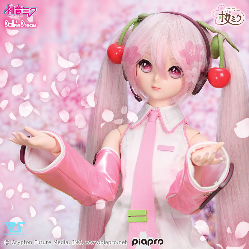 週間特売☆DD 桜ミク　(洋服　ウィッグ欠品) 雪ミクボディタイツ付き　ドルフィードリーム　初音ミク☆美品 本体