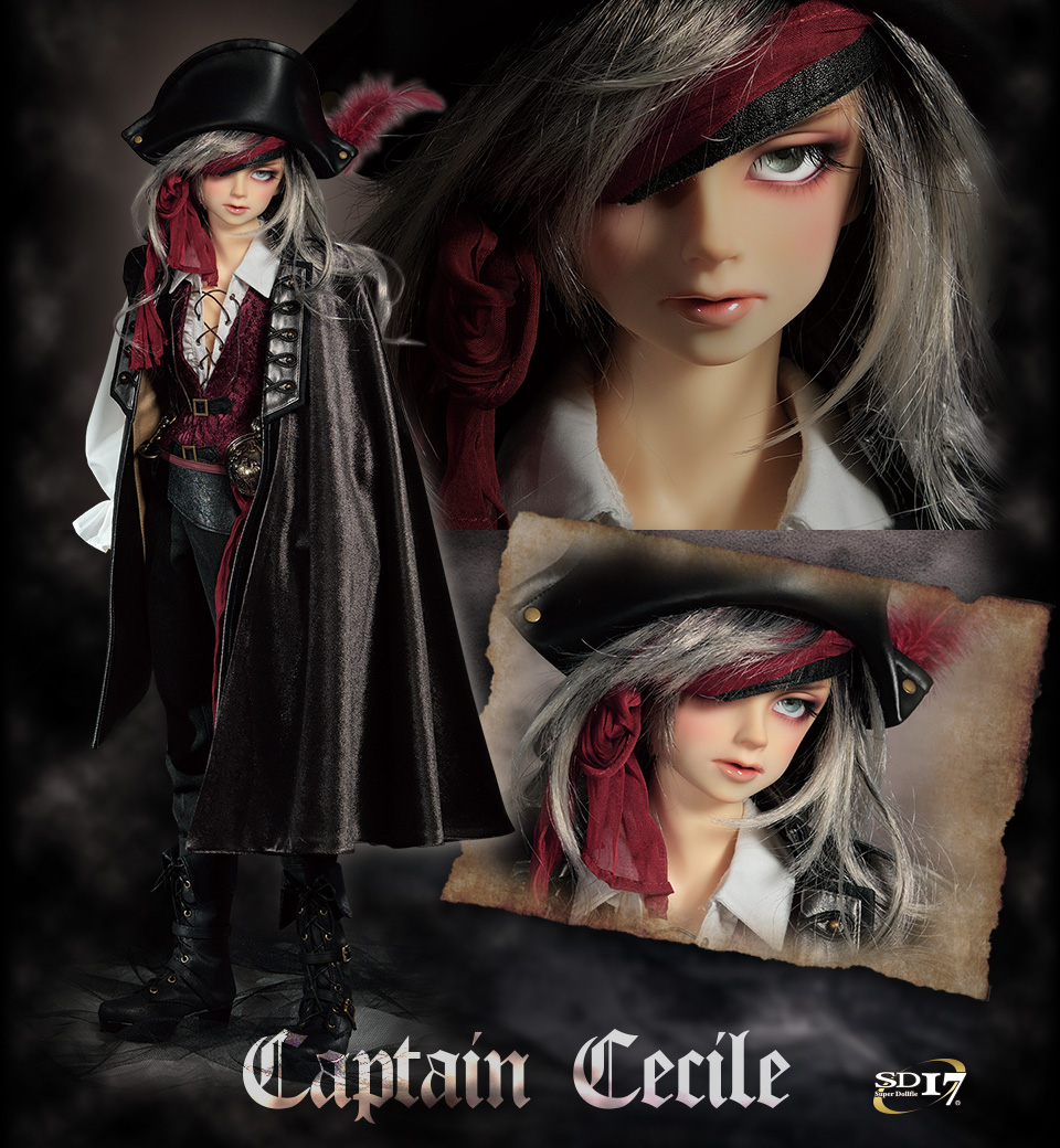 高品質100%新品ボークス　スーパードルフィー　sd17 男の子　captain Cecile　スーパードルフィー　銀貨の誓い　本体のみ 本体