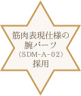 SDM-A-02（筋肉表現仕様の腕パーツ）