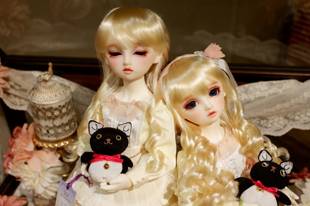 ボークス  Dear SD ホワイト肌　ボディ　Dearsd DSD VOLKS