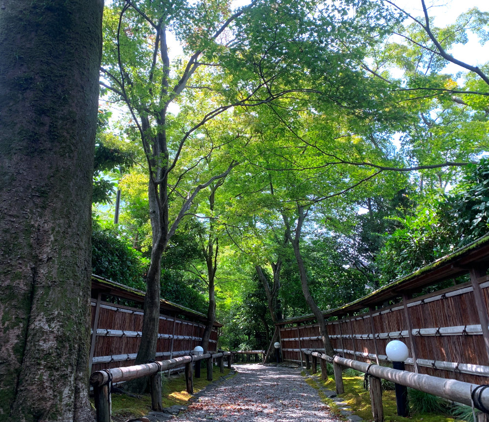 庭園01_250814S.jpg