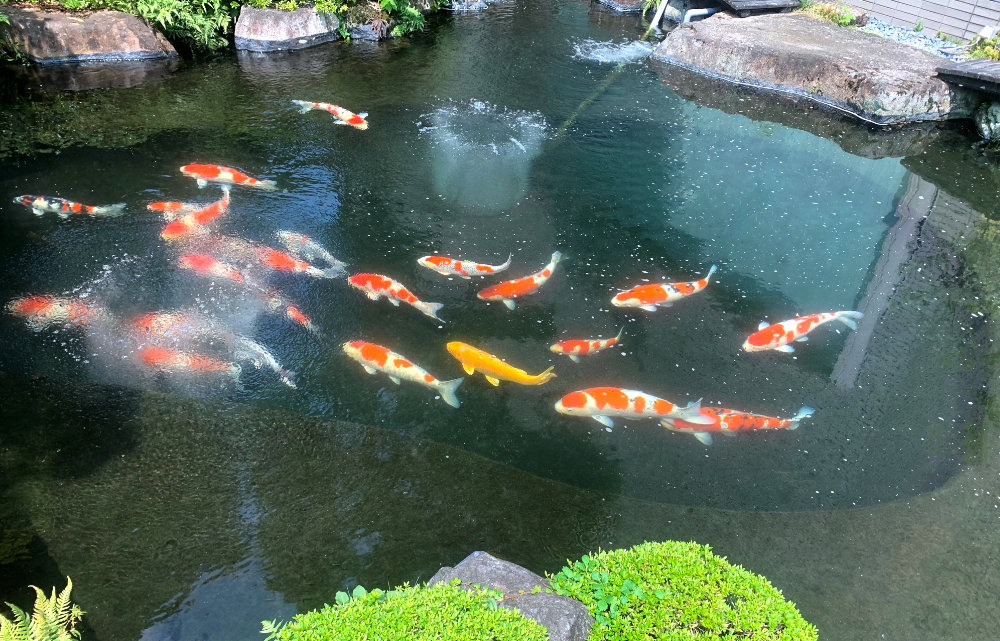 庭園04_250814S.jpg