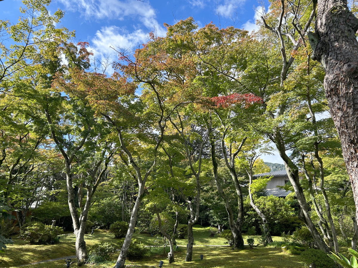 251020_02h.jpg