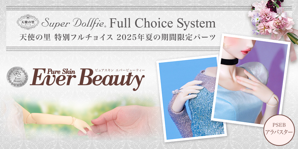 H_250628_sato_fcs_lmt.jpg