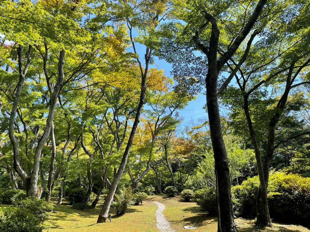 sato0916_6o.jpg