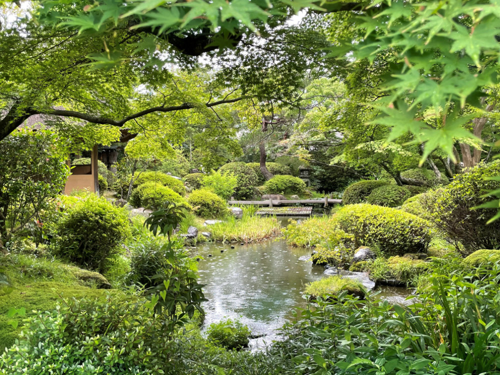 sato20250609_5o1.jpg