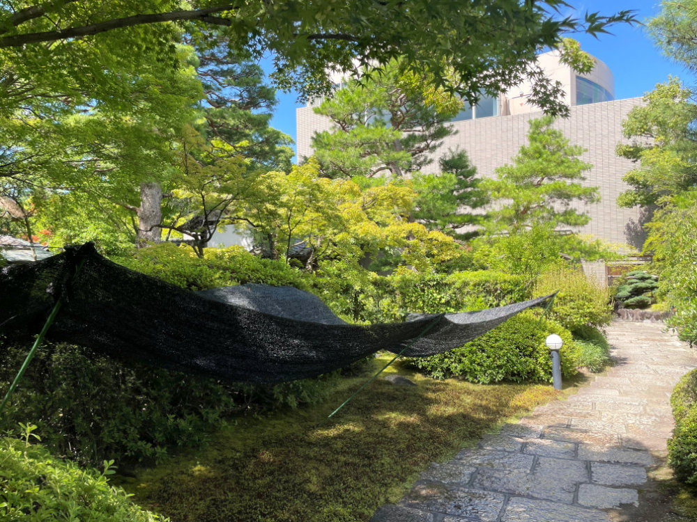 sato20250719_4o.jpg