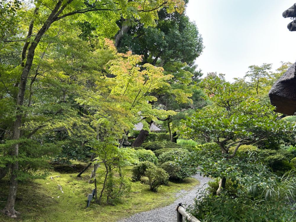 sato20250929_4o.jpg