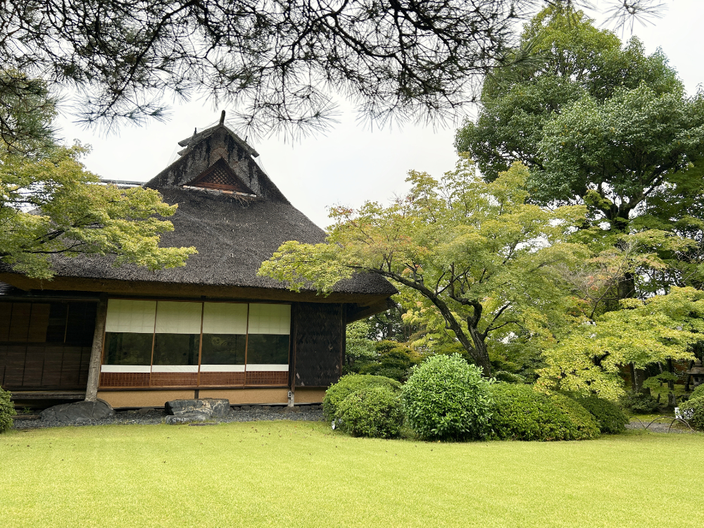 sato20251005_05o.jpg