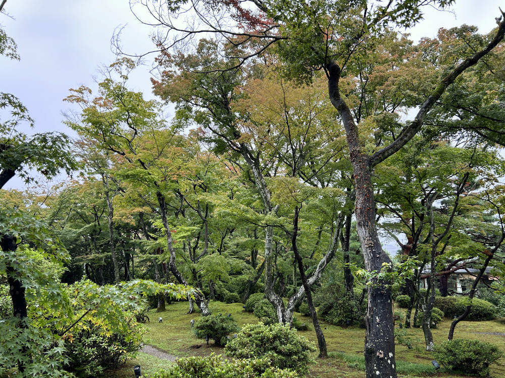 sato20251005_14o.jpg