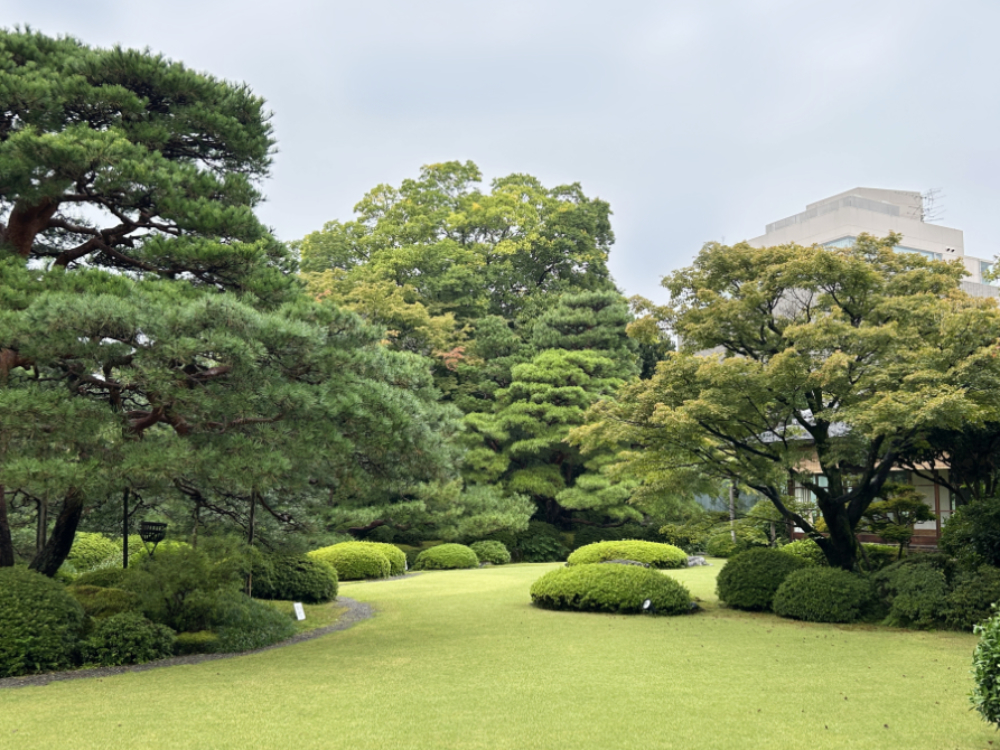 sato20251005_2o.jpg