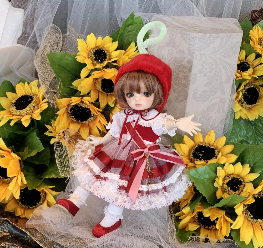 20260804_S2.jpg