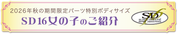 heading_sd16_introduction.png