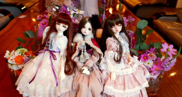 数量限定セール品 8月 9月分 コスモス様 専用 ミニチュア 送料無料tsa搭載 ハンドメイド Www Sibgroup Co Uk