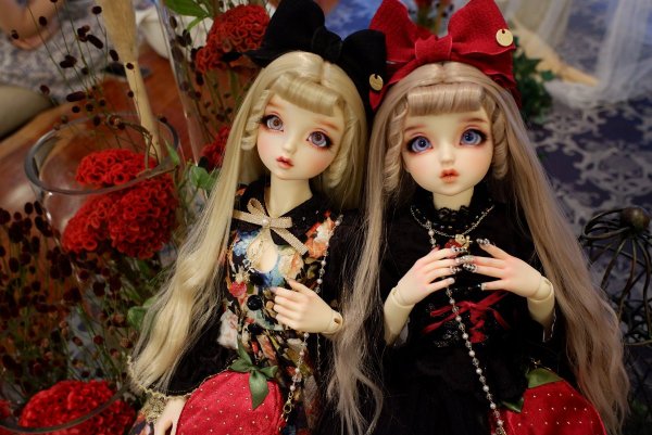 「四季の華の会 -葉月-」にご来館いただきありがとうございました♪