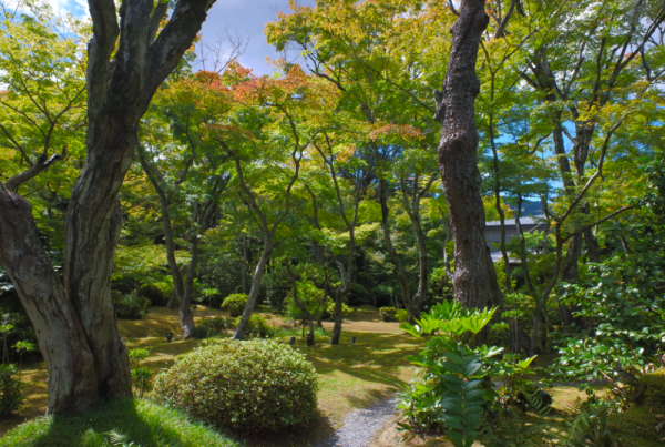 天使の里　庭園より【2024年9月】