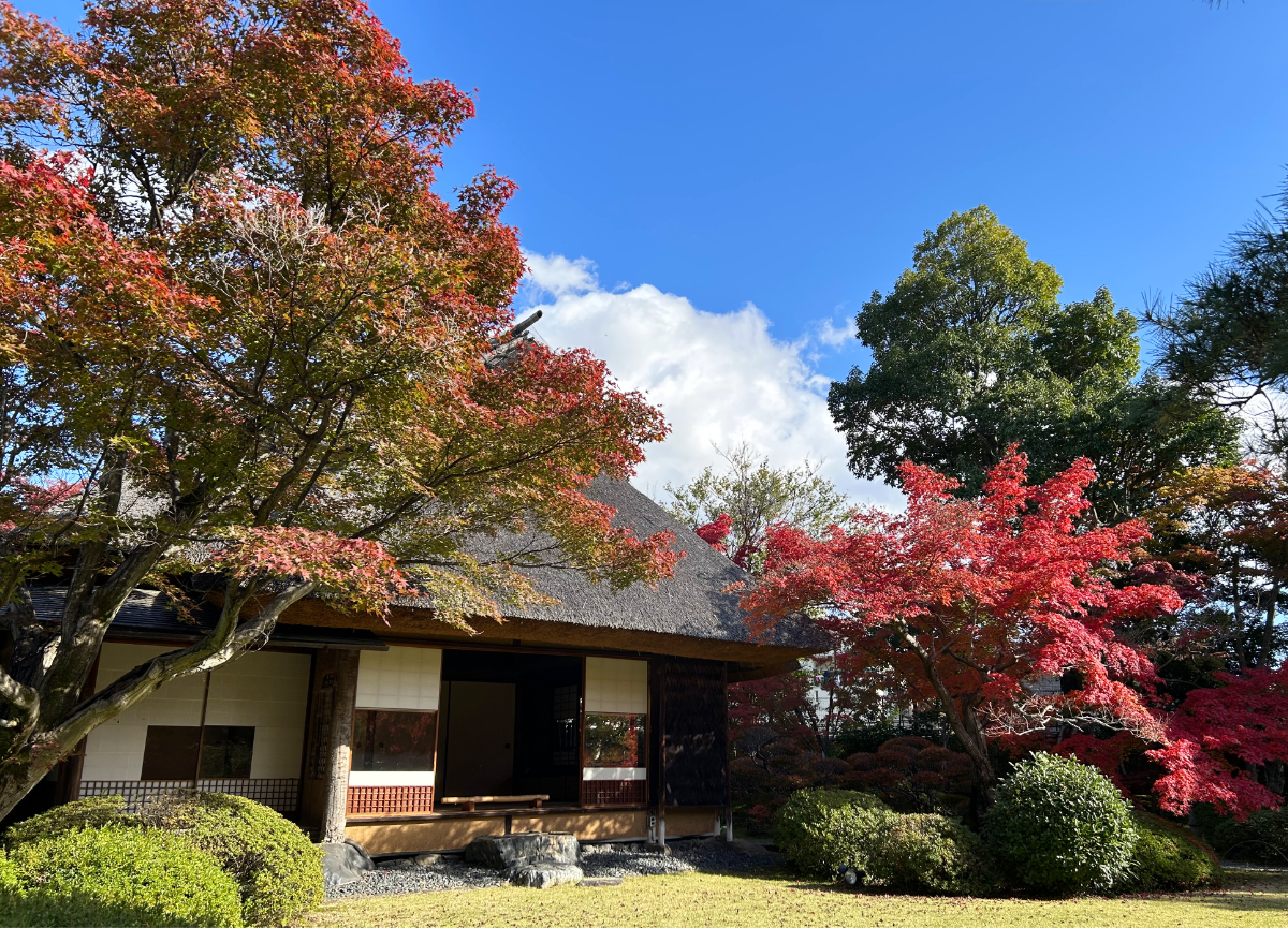 天使の里　庭園より【2024年11月末】