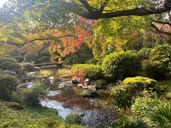 天使の里　庭園より【2024年11月 下旬】