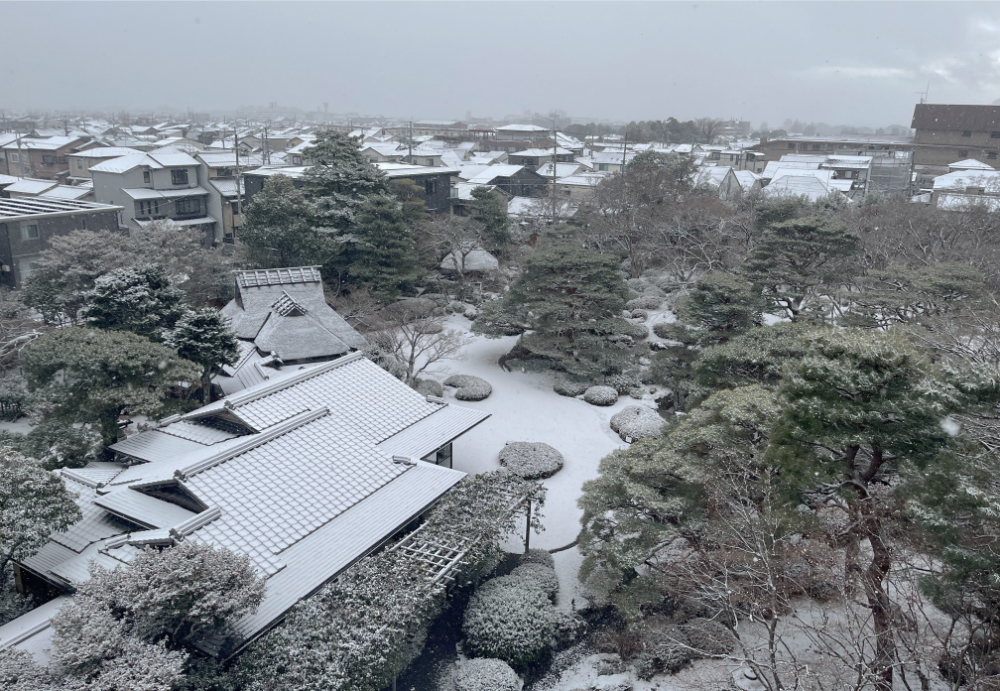 天使の里　庭園より【2025年1月上旬】