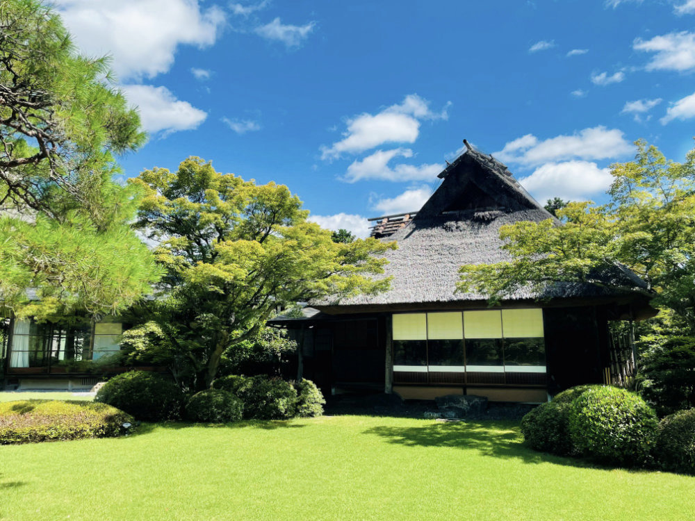 天使の里　庭園より【2025年7月下旬】