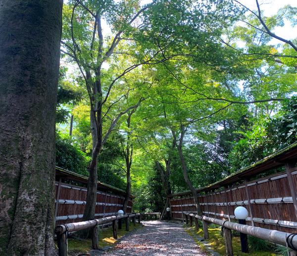 天使の里　庭園より【2025年8月中旬】