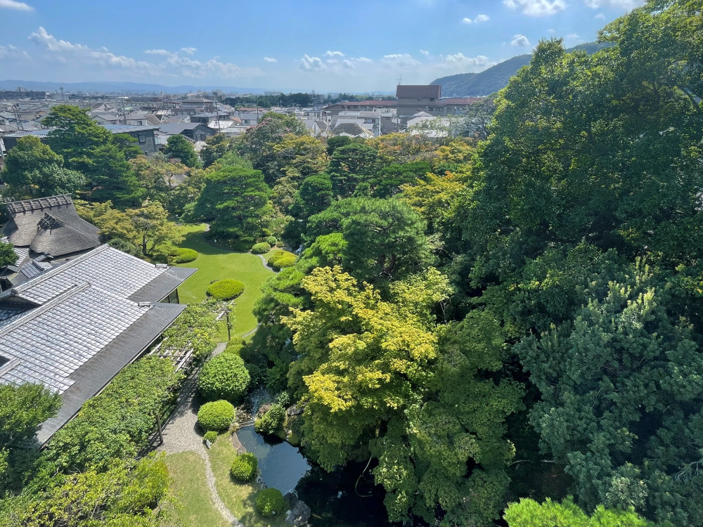 天使の里　庭園より【2025年9月中旬】