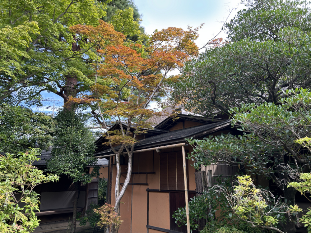 天使の里　庭園より【2025年9月下旬】