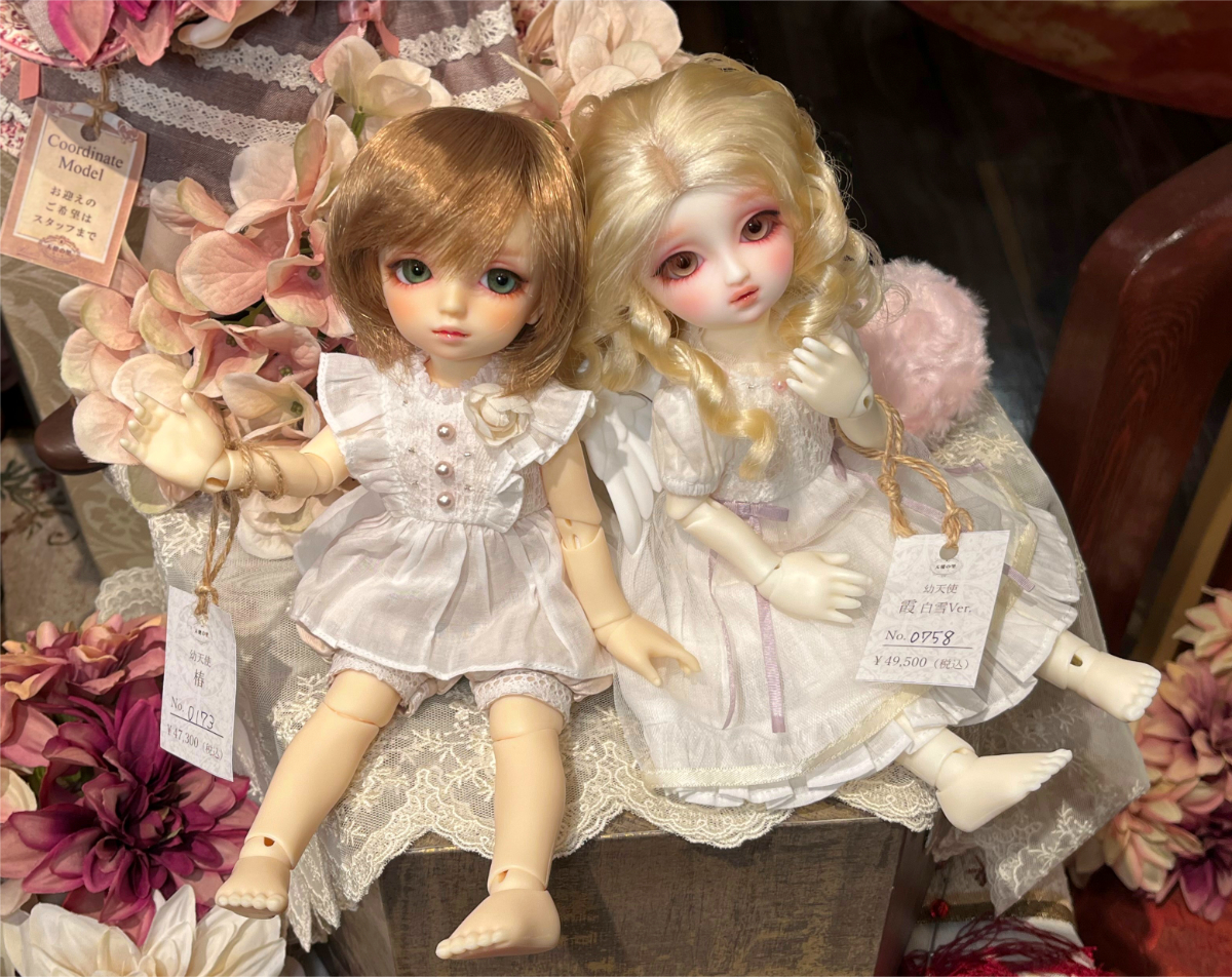 幼天使 椿 ＆ 幼天使 霞白雪Ver. 展示販売のお知らせ♪