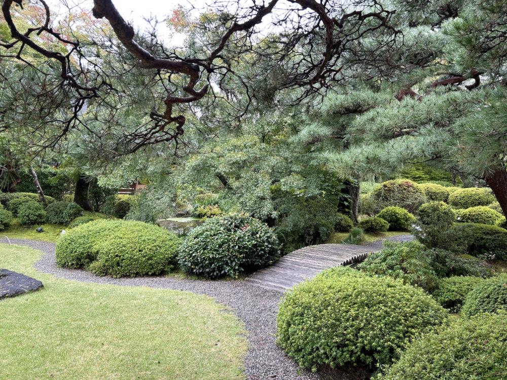 天使の里　庭園より【2025年10月下旬】