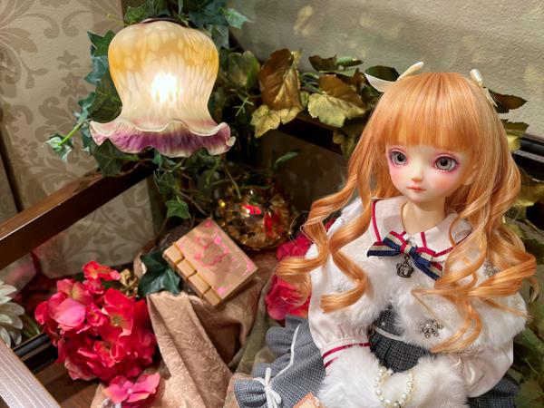 「天使の里 ～Christmas Fair 2025～」お披露目 コーディネートモデルのご紹介♪（2025年11月末）