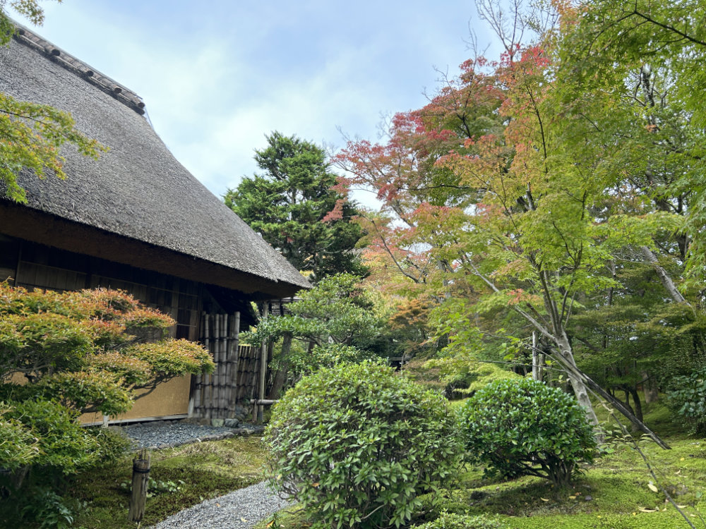 天使の里　庭園より【2025年11月上旬】