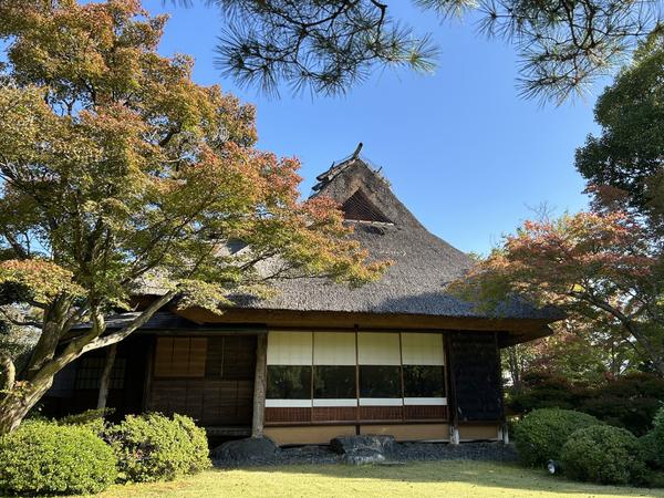 天使の里　庭園よりご案内【2025年11月上旬】