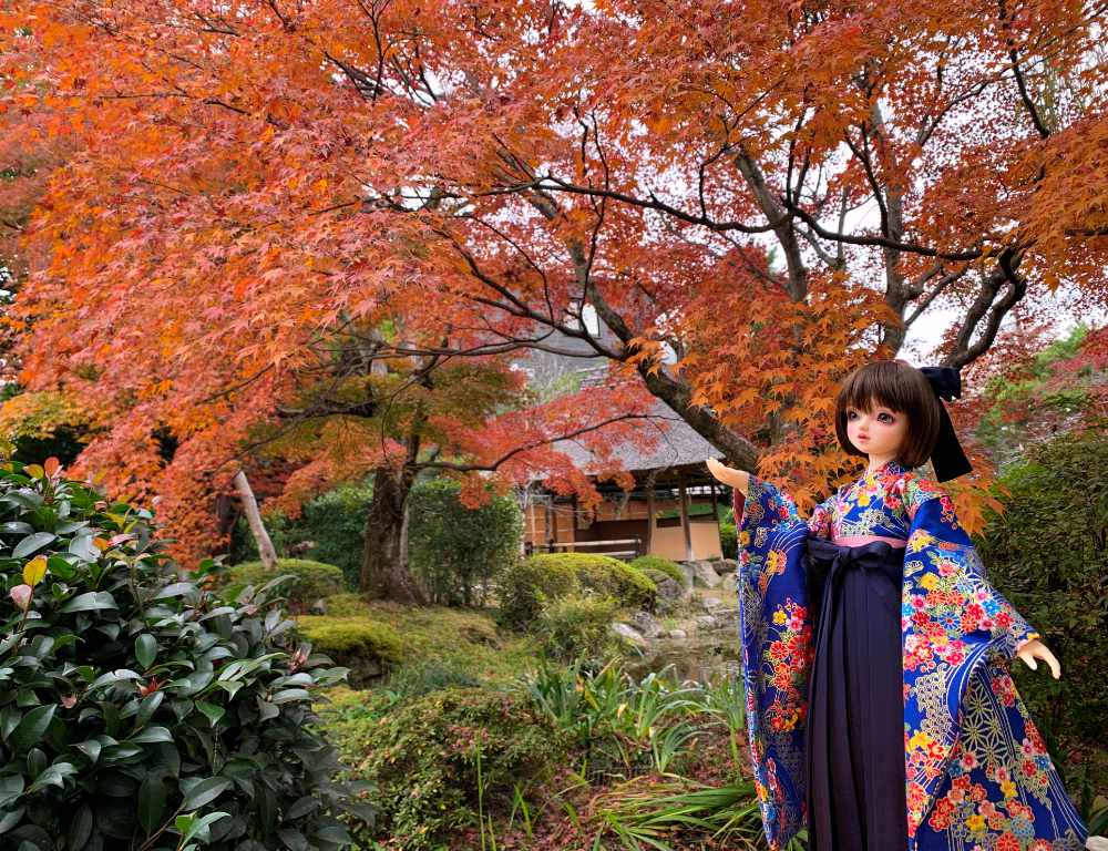 「華やか袴セット（藍色）」のご紹介♪