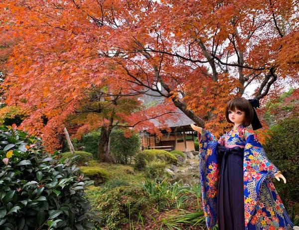 「華やか袴セット（藍色）」のご紹介♪