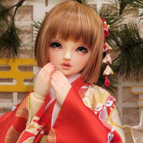 SDフルチョイス オーナー様特別オプション販売キャンペーン 2024」は1