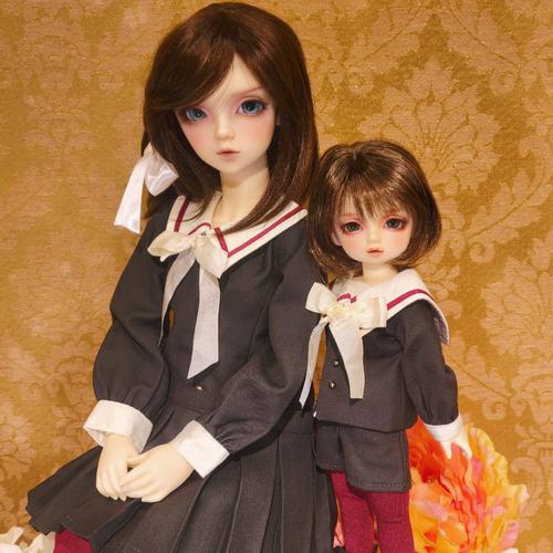 ドルフィー初めてシリーズ④】SD・DDのサイズについて | 天使のすみか