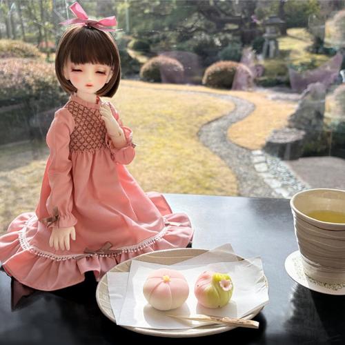 DDドリームチョイス】ヘッド紹介・DC-H-30編♪ | ドールポイント大阪